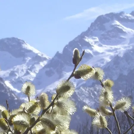 Aktiv Alpi Marittime